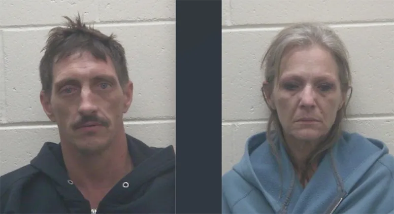 Traffic stop leads to drug arrests